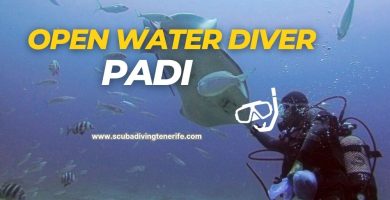 Open Water Diver PADI Tenerife