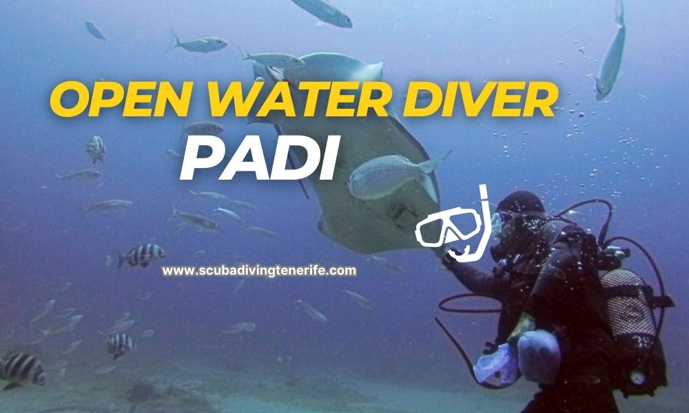 Open Water Diver PADI Tenerife