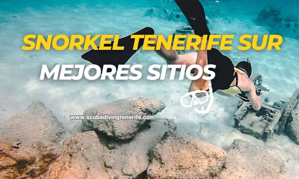 snorkel tenerife sur mejores sitios